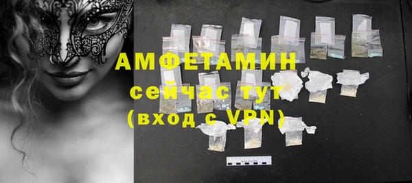 шишки Корсаков