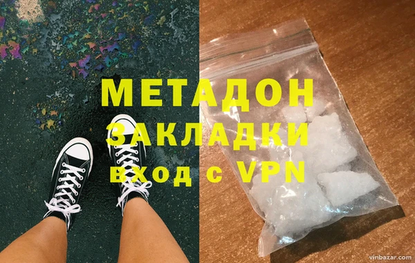 шишки Корсаков