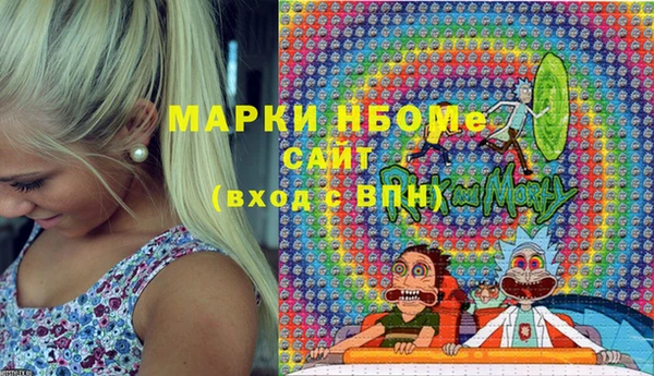 шишки Корсаков