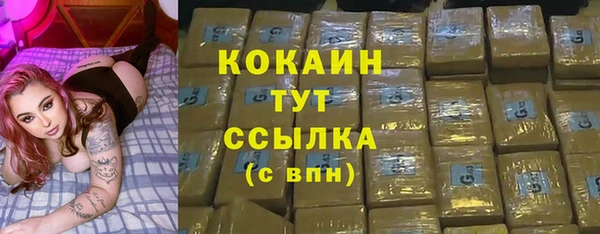шишки Корсаков