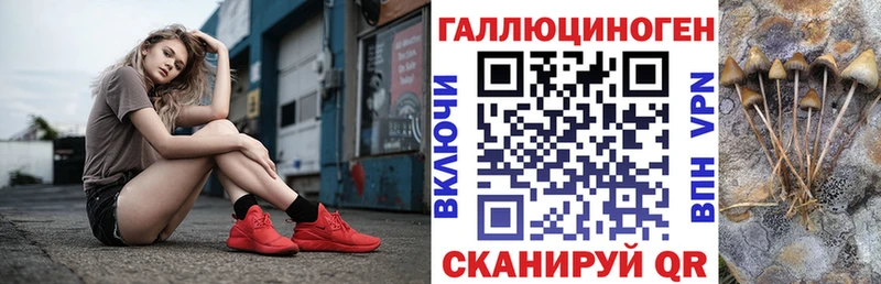Галлюциногенные грибы Psilocybine cubensis  Киселёвск 