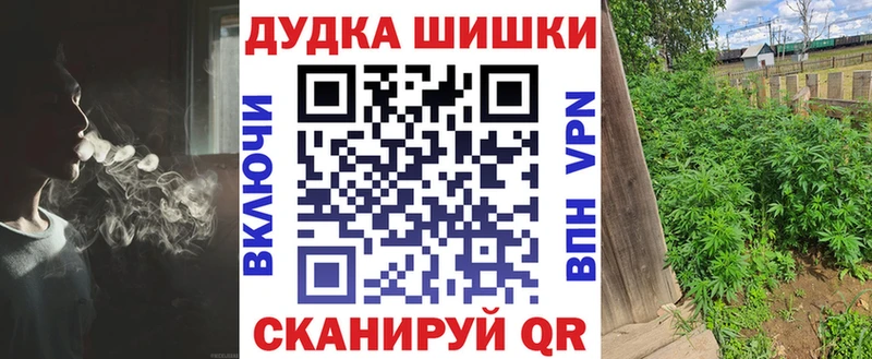 Марихуана сатива  omg ONION  Киселёвск 